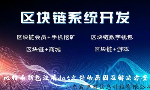 比特币钱包没有dat文件的原因及解决方案