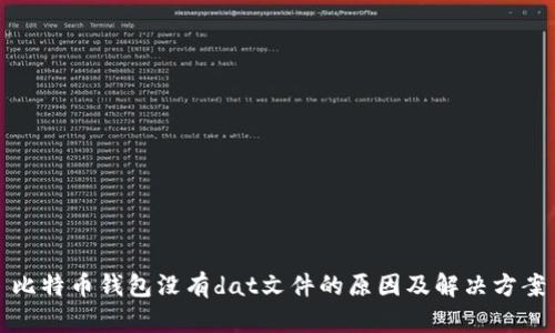 比特币钱包没有dat文件的原因及解决方案
