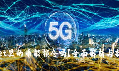 tpWallet里的币能锁仓吗？全面解析与操作指南
