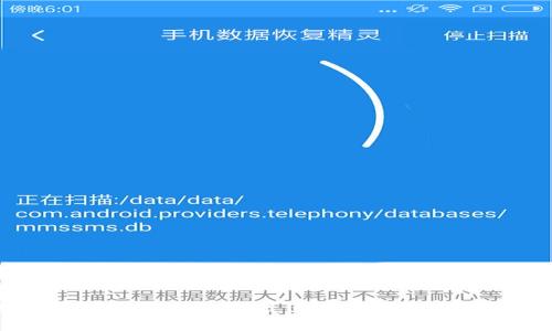 全面比较虚拟币钱包：选择最适合你的数字资产管理工具