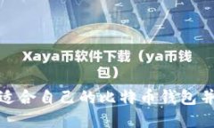 如何选择适合自己的比特币钱包并进行充值