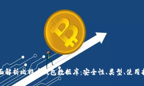 全面解析比特币钱包数据库：安全性、类型、使用指南