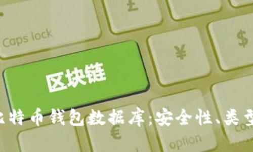 全面解析比特币钱包数据库：安全性、类型、使用指南