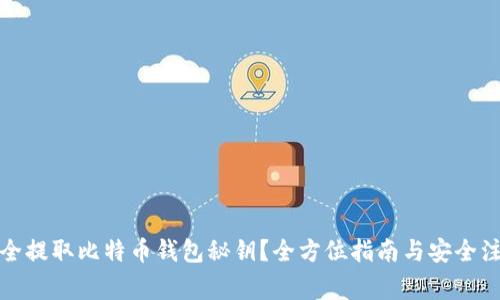 如何安全提取比特币钱包秘钥？全方位指南与安全注意事项