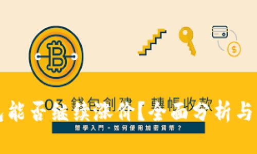屎币钱包能否继续涨价？全面分析与未来展望