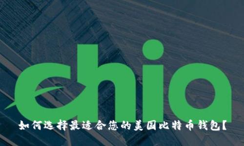 如何选择最适合您的美国比特币钱包？