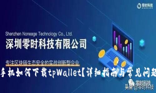 苹果手机如何下载tpWallet？详细指南与常见问题解答