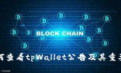 如何查看tpWallet公告及其重要性