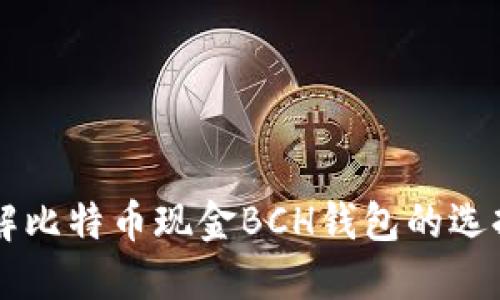 深入了解比特币现金BCH钱包的选择与使用