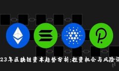 2023年区块链资本趋势分析：投资机会与风险评估