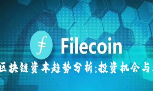 2023年区块链资本趋势分析：投资机会与风险评估