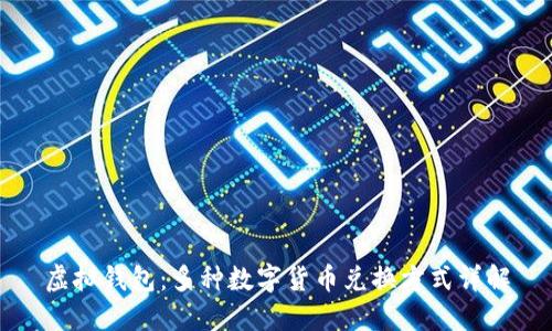 虚拟钱包：多种数字货币兑换方式详解