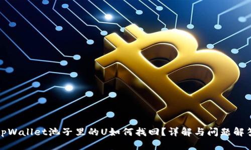 tpWallet池子里的U如何找回？详解与问题解答