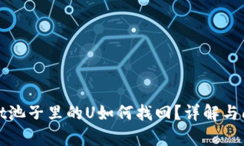 tpWallet池子里的U如何找回？详解与问题解答
