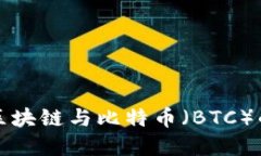 深入理解区块链与比特币（BTC）的未来发展