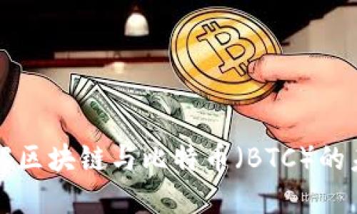 深入理解区块链与比特币（BTC）的未来发展