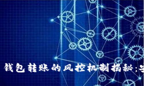 虚拟币钱包转账的风控机制揭秘：安全吗？