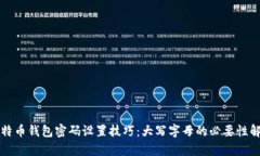 比特币钱包密码设置技巧：大写字母的必要性解