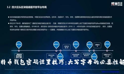 比特币钱包密码设置技巧：大写字母的必要性解析
