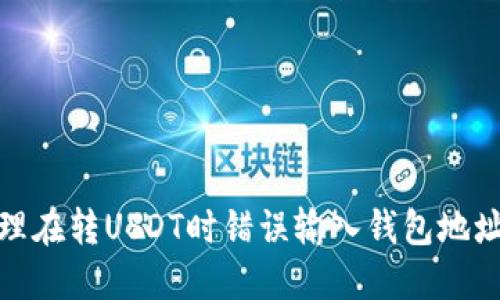 如何处理在转USDT时错误输入钱包地址的情况