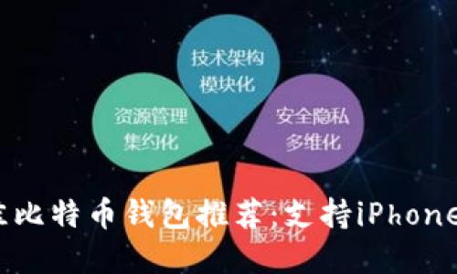 2023年最佳比特币钱包推荐：支持iPhone的安全选择