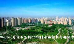tpWallet为何不支持BSC链？全面解析与解决方案