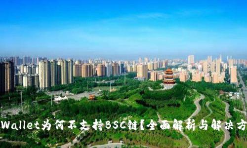 tpWallet为何不支持BSC链？全面解析与解决方案