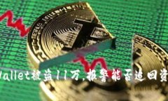 tpWallet被盗11万，报警能否追回资金？