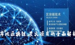 布比区块链：星火项目的全面解析