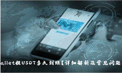 tpWallet提USDT多久到账？详细解析及常见问题解答