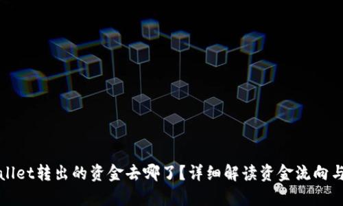 tpWallet转出的资金去哪了？详细解读资金流向与管理