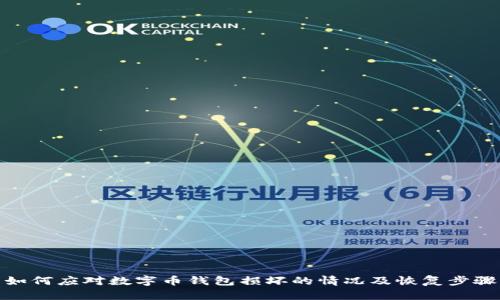 如何应对数字币钱包损坏的情况及恢复步骤