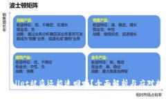 tpWallet被盗还能追回吗？全面解析与应对措施