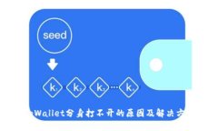 tpWallet分身打不开的原因及解决方法