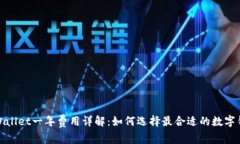 tpWallet一年费用详解：如何