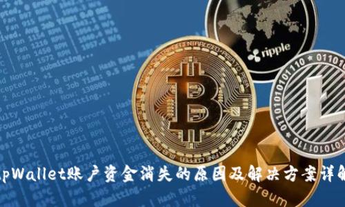 tpWallet账户资金消失的原因及解决方案详解