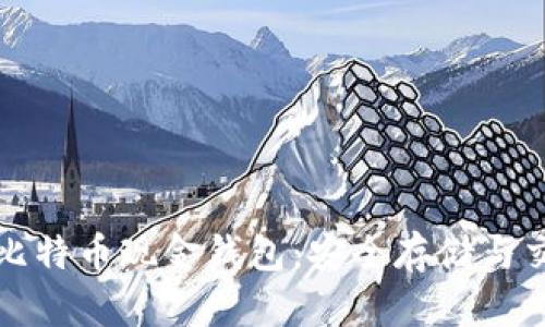 探索比特币与比特币现金钱包：安全存储与交易的最佳实践