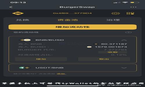 探索苹果手机上可替代tpWallet的金融管理应用程序