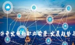 区块链技术软件开发师的
