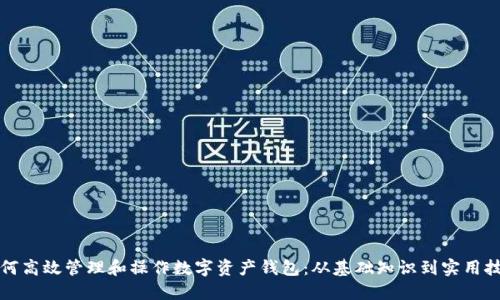 如何高效管理和操作数字资产钱包：从基础知识到实用技巧
