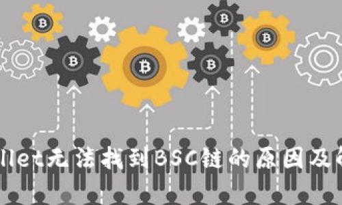 电脑版tpWallet无法找到BSC链的原因及解决方案详解