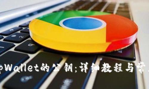 如何找到tpWallet的公钥：详细教程与常见问题解答