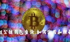深入探讨区块链公链钱包查询：如何使用和理解
