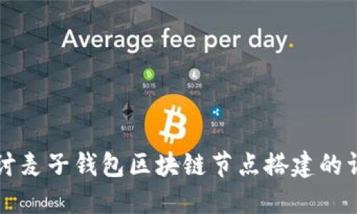 全面探讨麦子钱包区块链节点搭建的详细指南