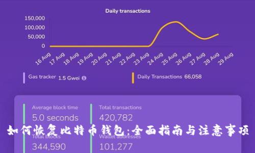 如何恢复比特币钱包：全面指南与注意事项