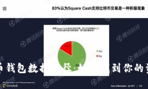 全面解析比特币钱包数据路径：如何找到你的资产与安全隐私