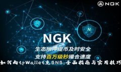 如何向tpWallet充BNB：全面指南与实用技巧