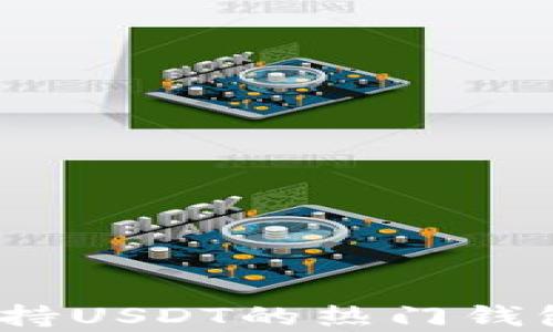 
全面解析：支持USDT的热门钱包及其优缺点