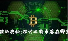 揭开比特币存储的奥秘：探讨比特币存在哪些类