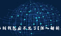 狗狗币提币到钱包后不见了？深入解析及解决方